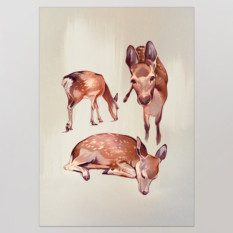 The Deers