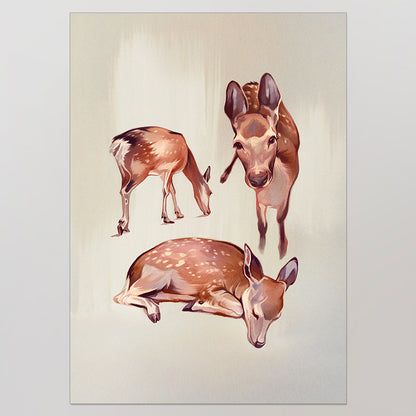 The Deers