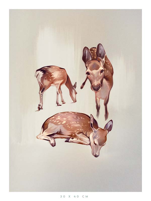 The Deers