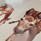 The Deers